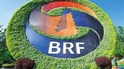 29位外国元首、政府首脑及联合国秘书长等3位重要国际组织负责人,以及来自130多个国家的约1500名各界来宾,齐聚雁栖湖,共商大计。